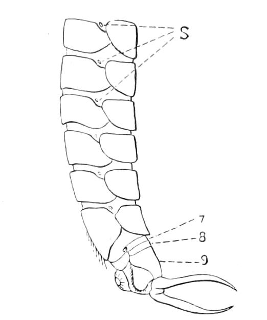 fig103