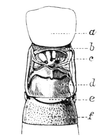 fig104