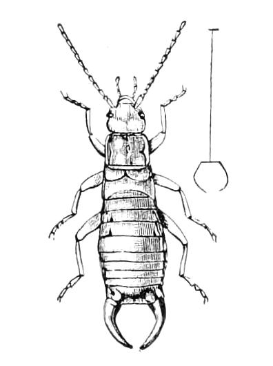 fig105