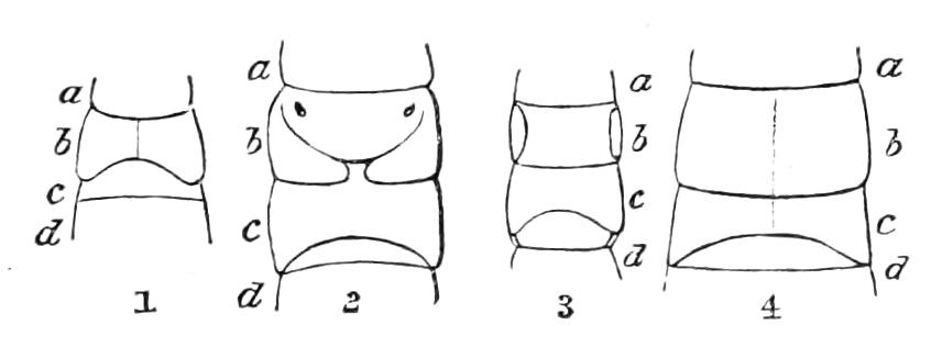 fig106