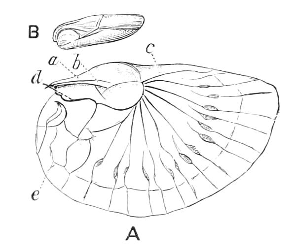 fig107
