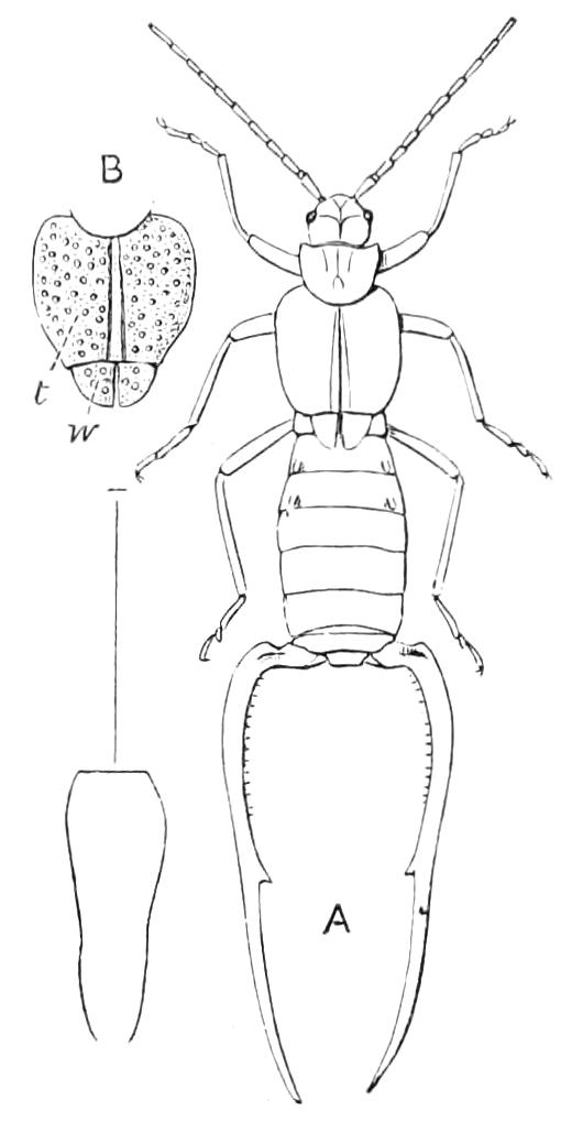 fig108