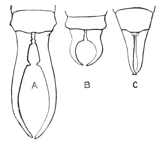 fig109