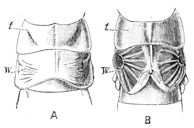 fig112