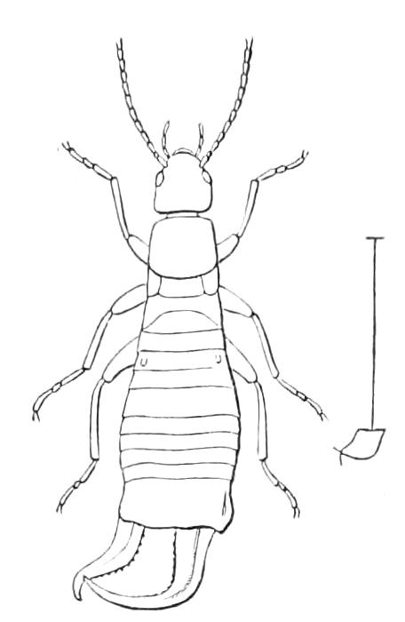 fig113