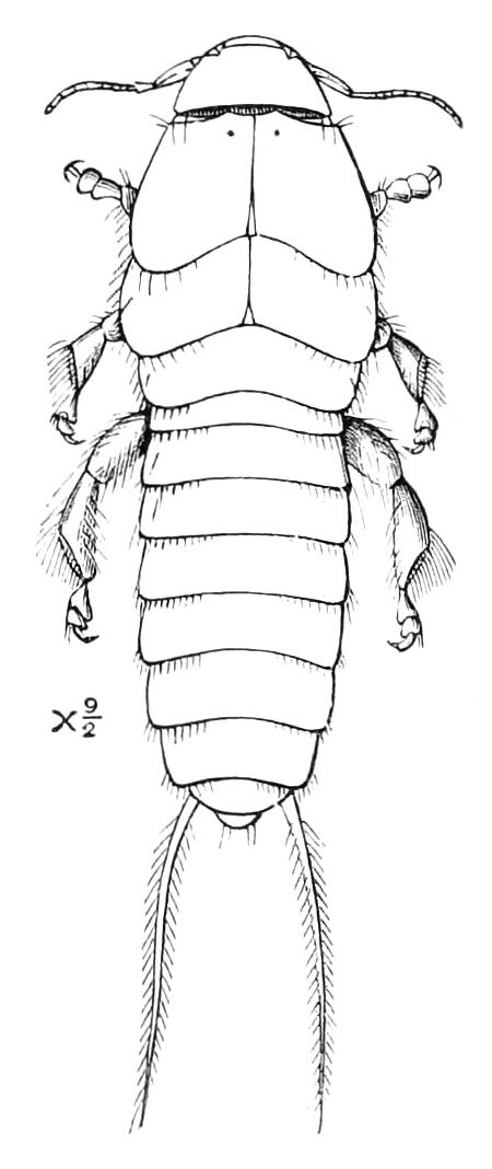 fig114