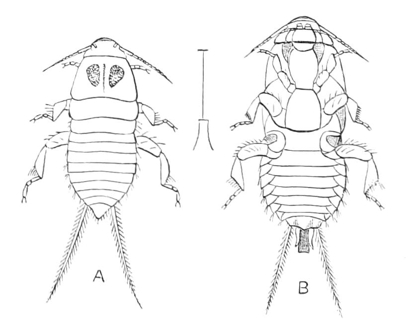fig117