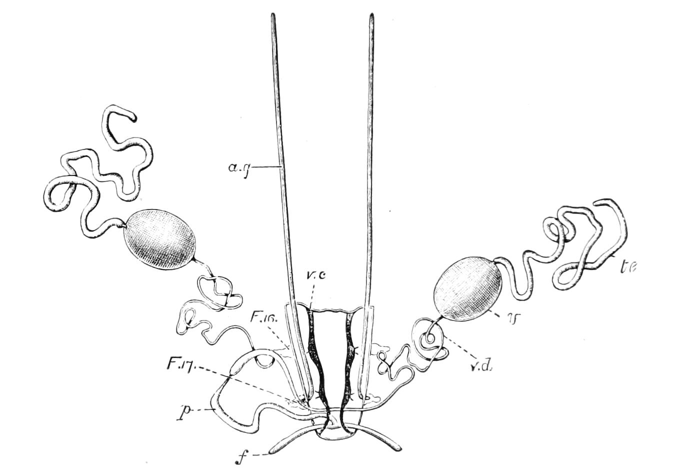 fig12
