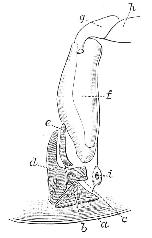 fig120