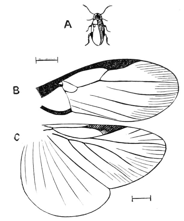 fig122