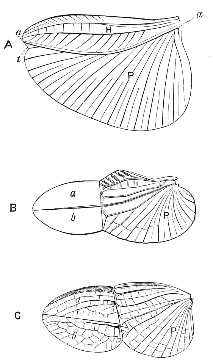 fig123