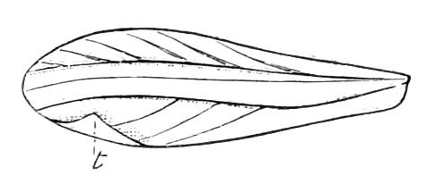 fig124