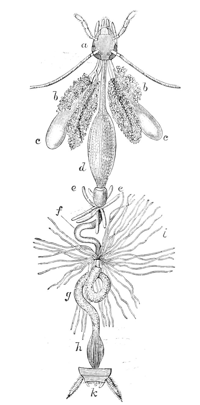 fig125
