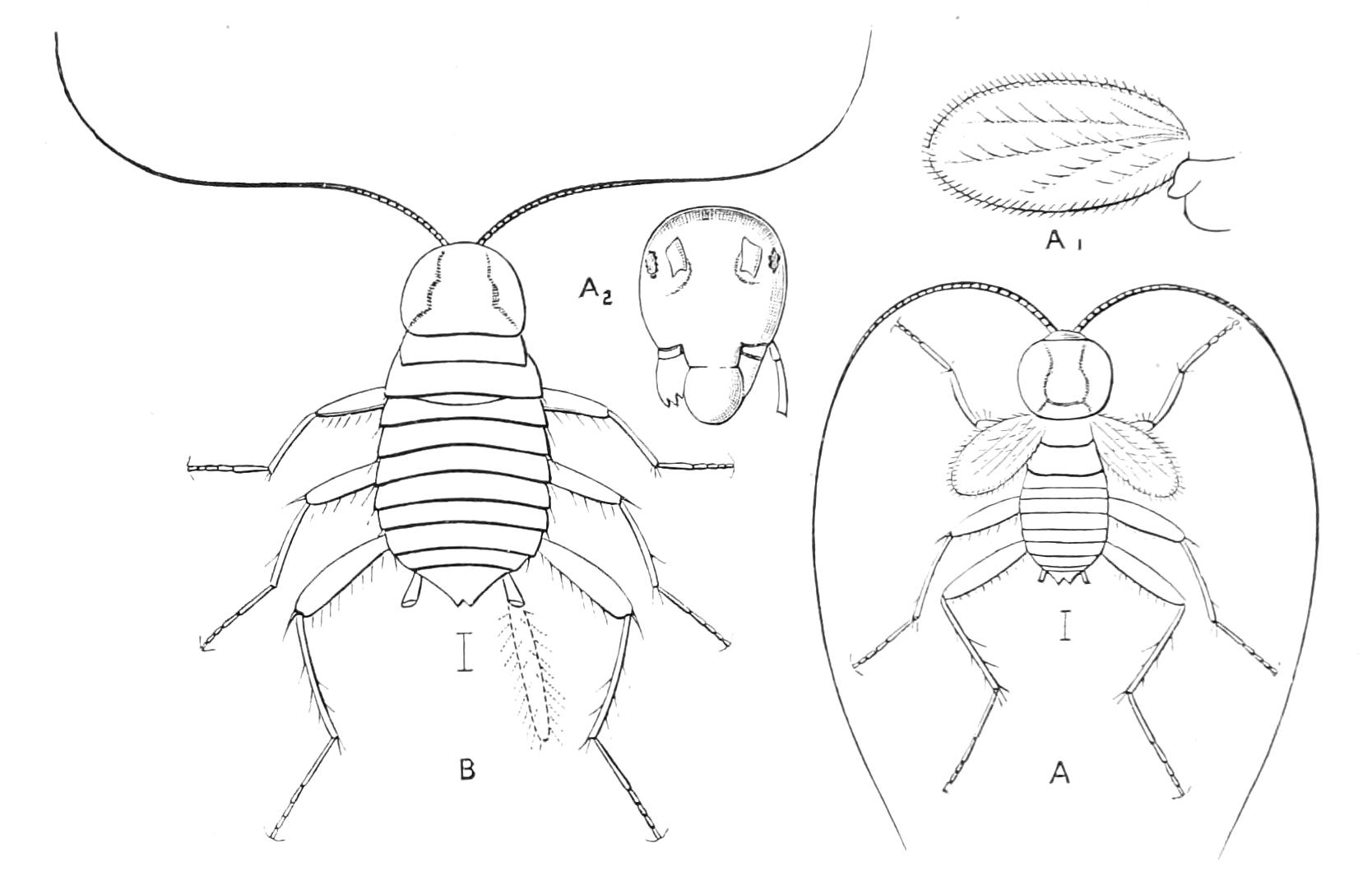 fig127