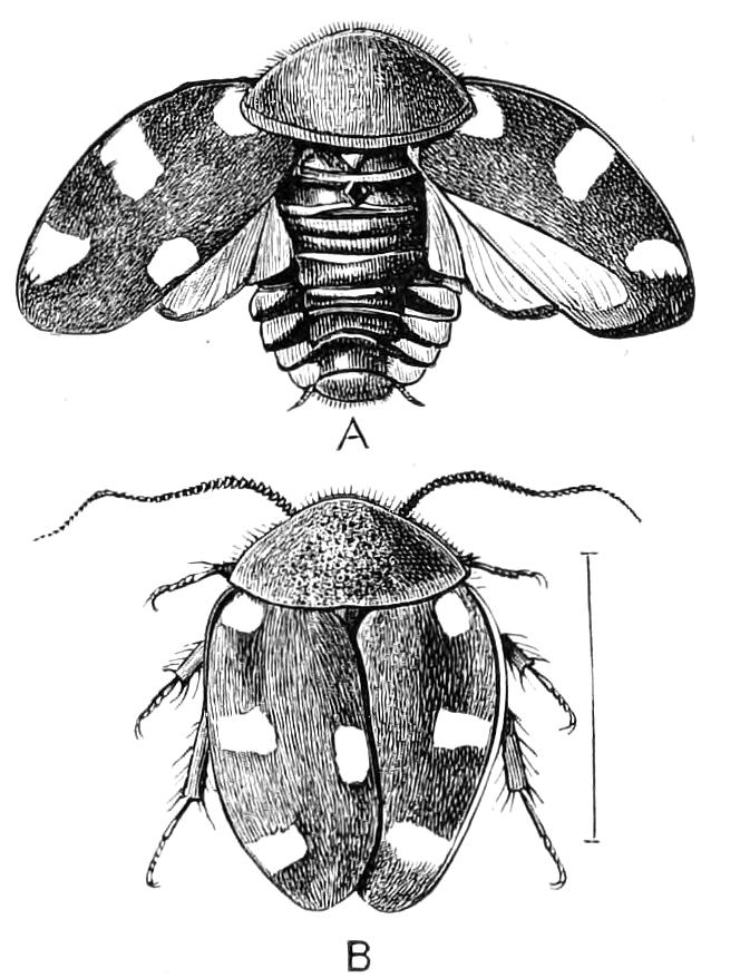 fig128
