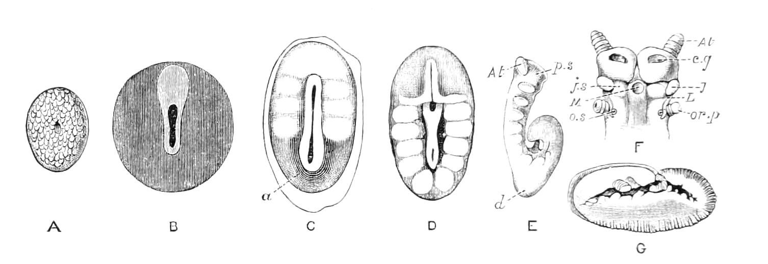 fig13