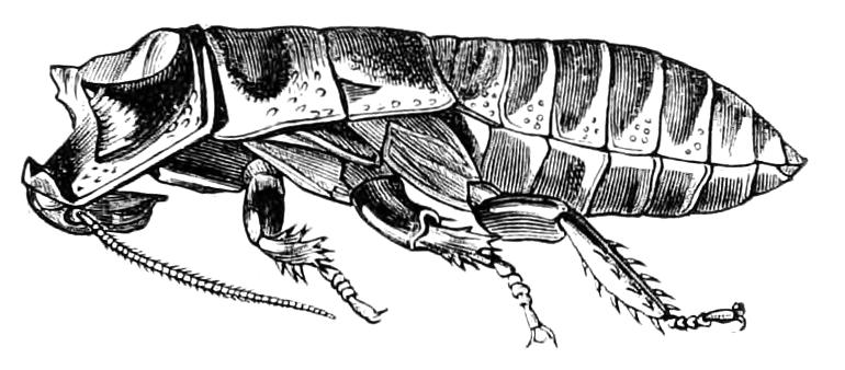 fig130