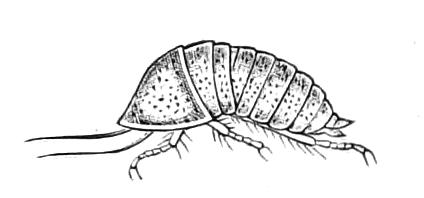 fig131