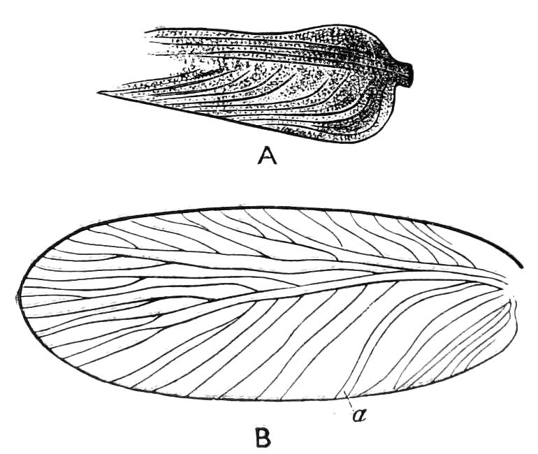 fig133