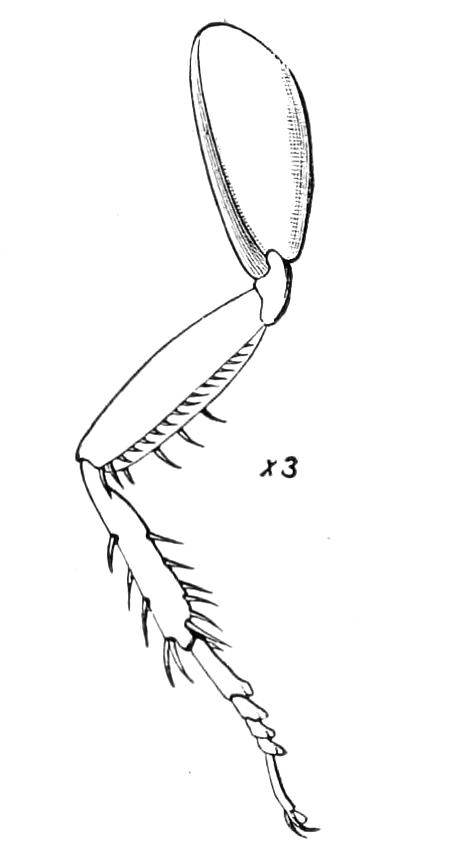 fig134