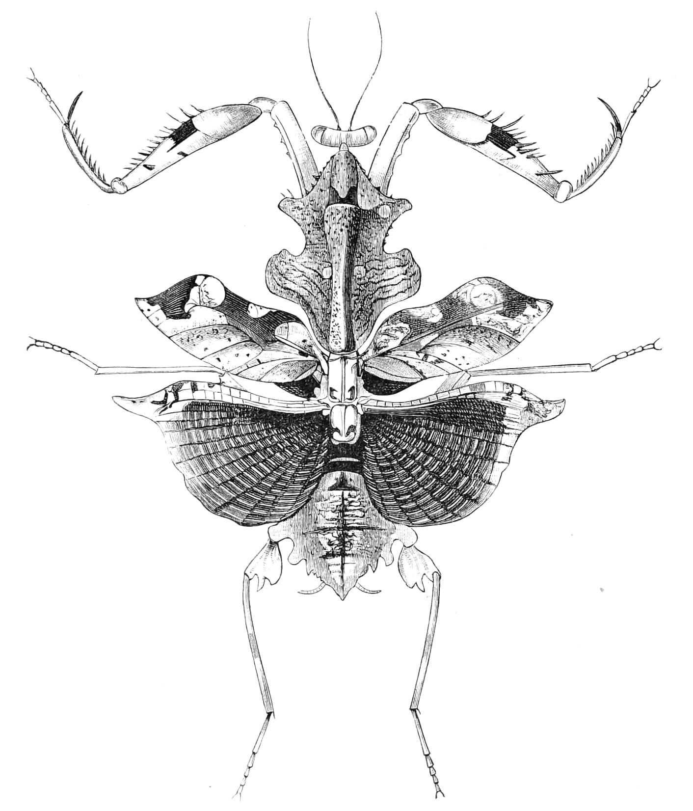 fig135