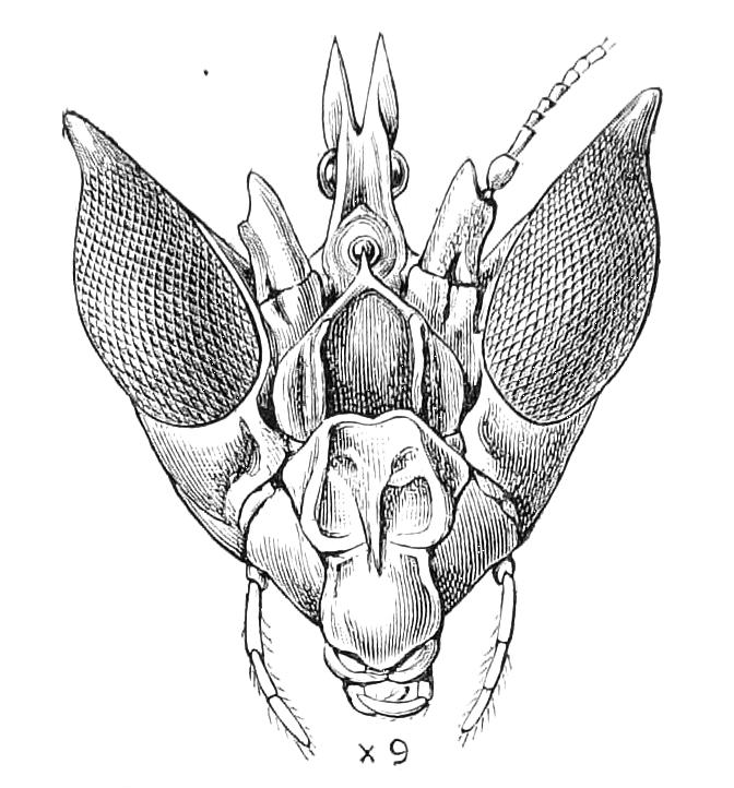 fig136