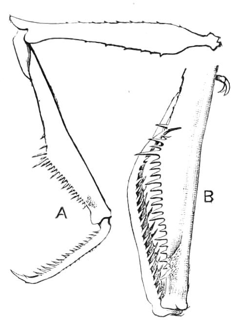 fig137