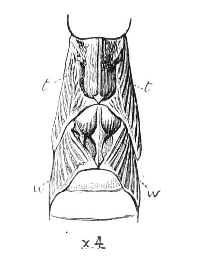 fig139
