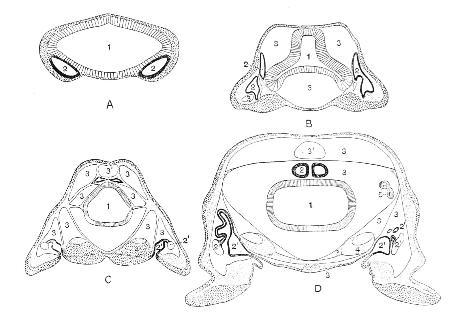 fig14