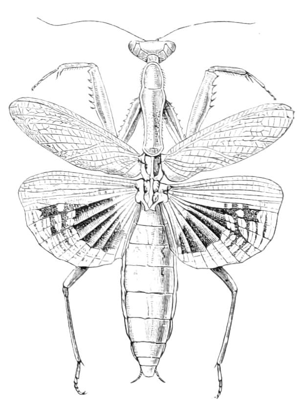 fig140