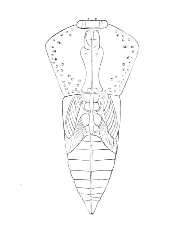 fig143