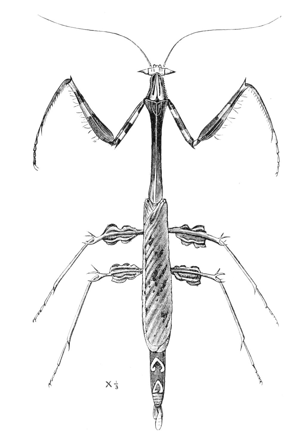 fig145