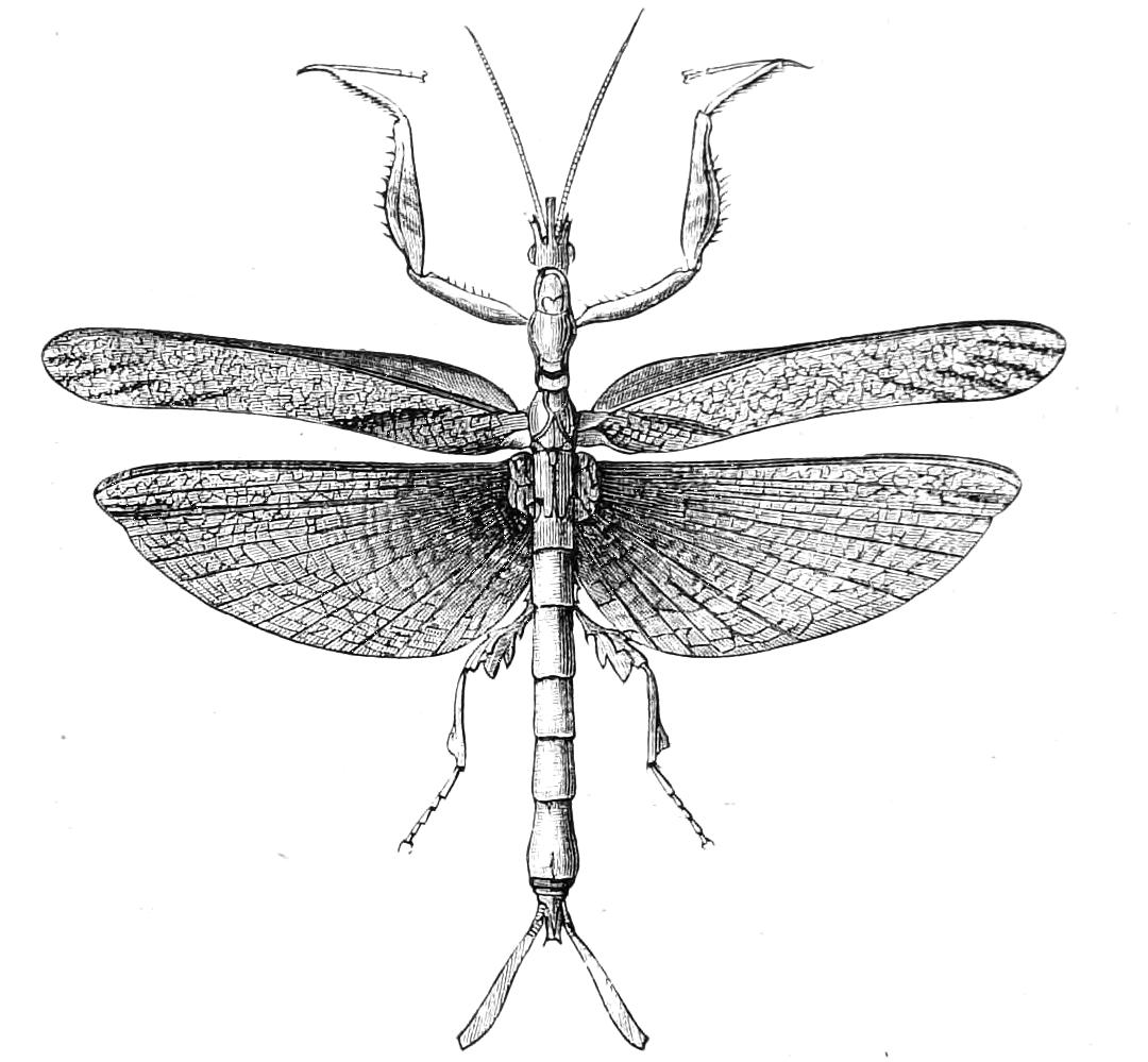 fig147