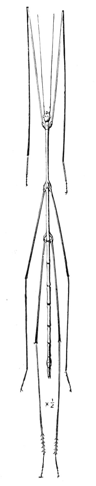 fig148
