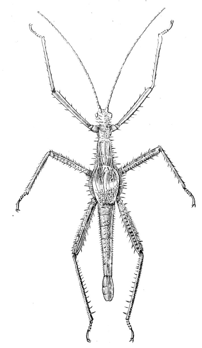 fig149