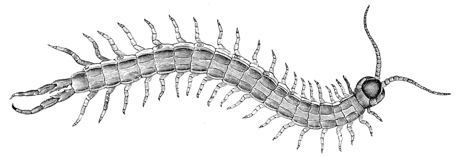fig15