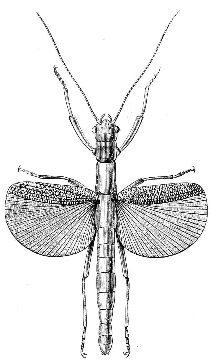 fig150