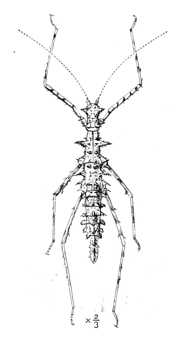 fig151