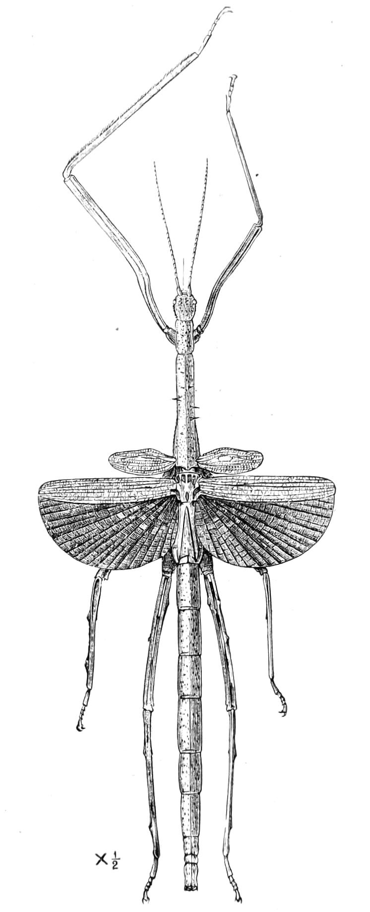fig153