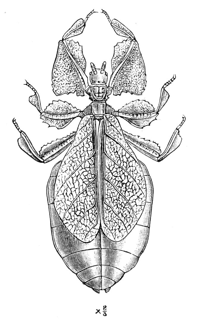 fig154