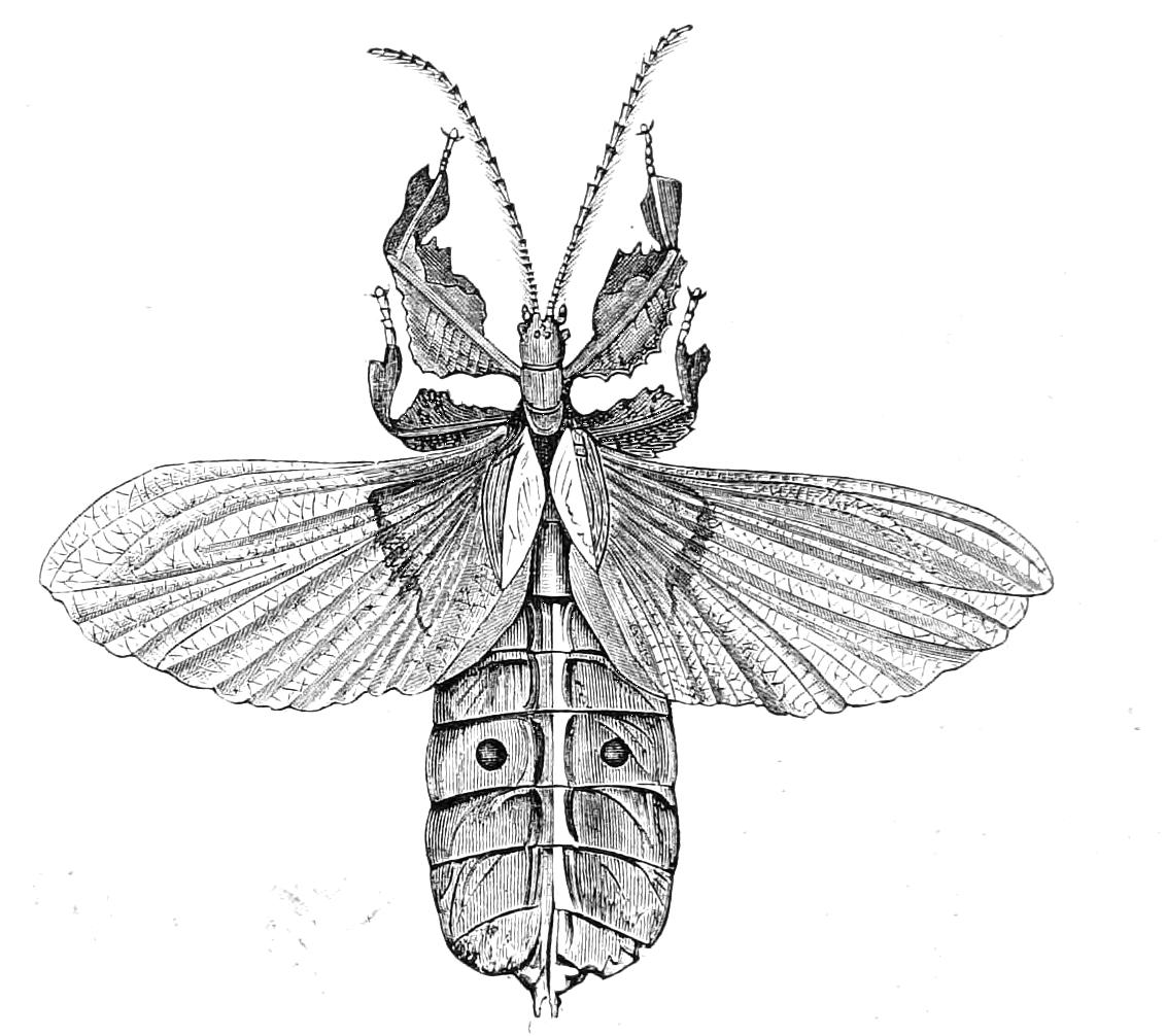 fig155