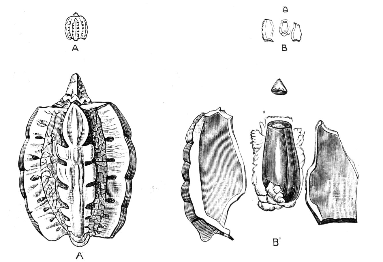 fig157