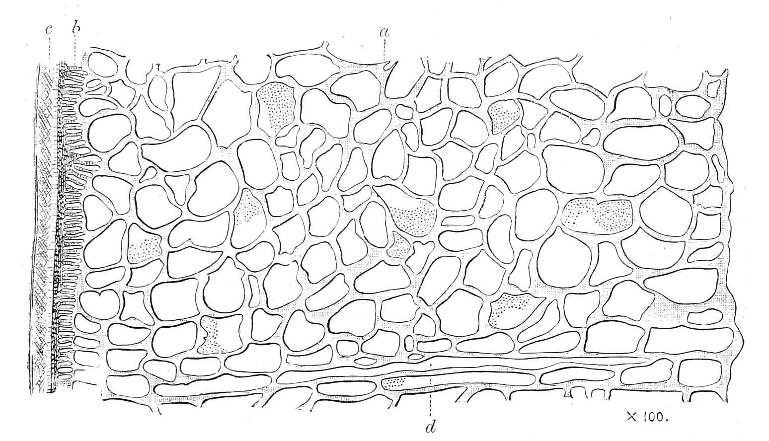 fig158