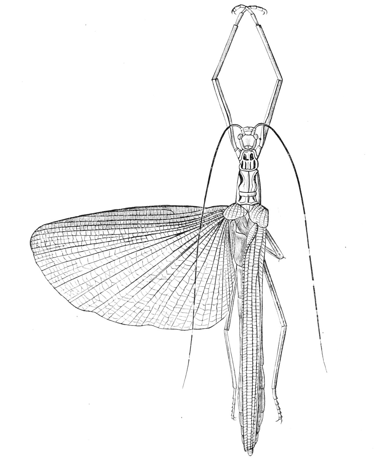 fig159