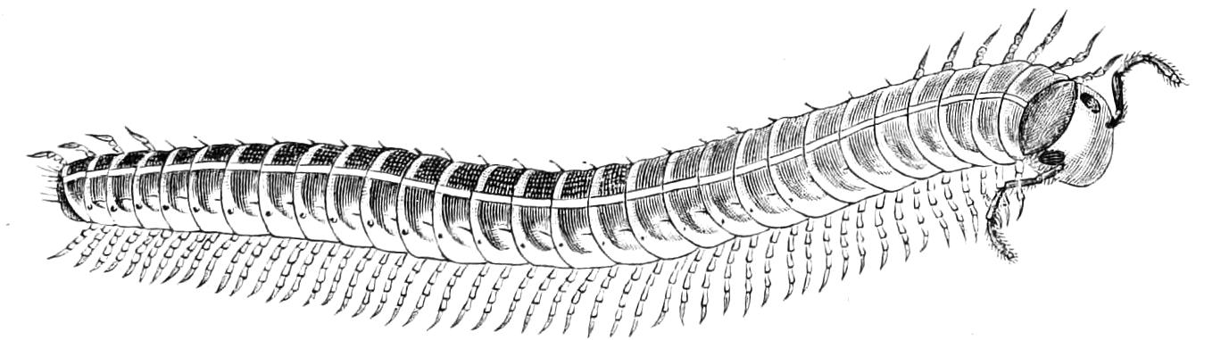 fig16