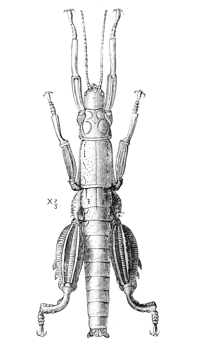 fig160