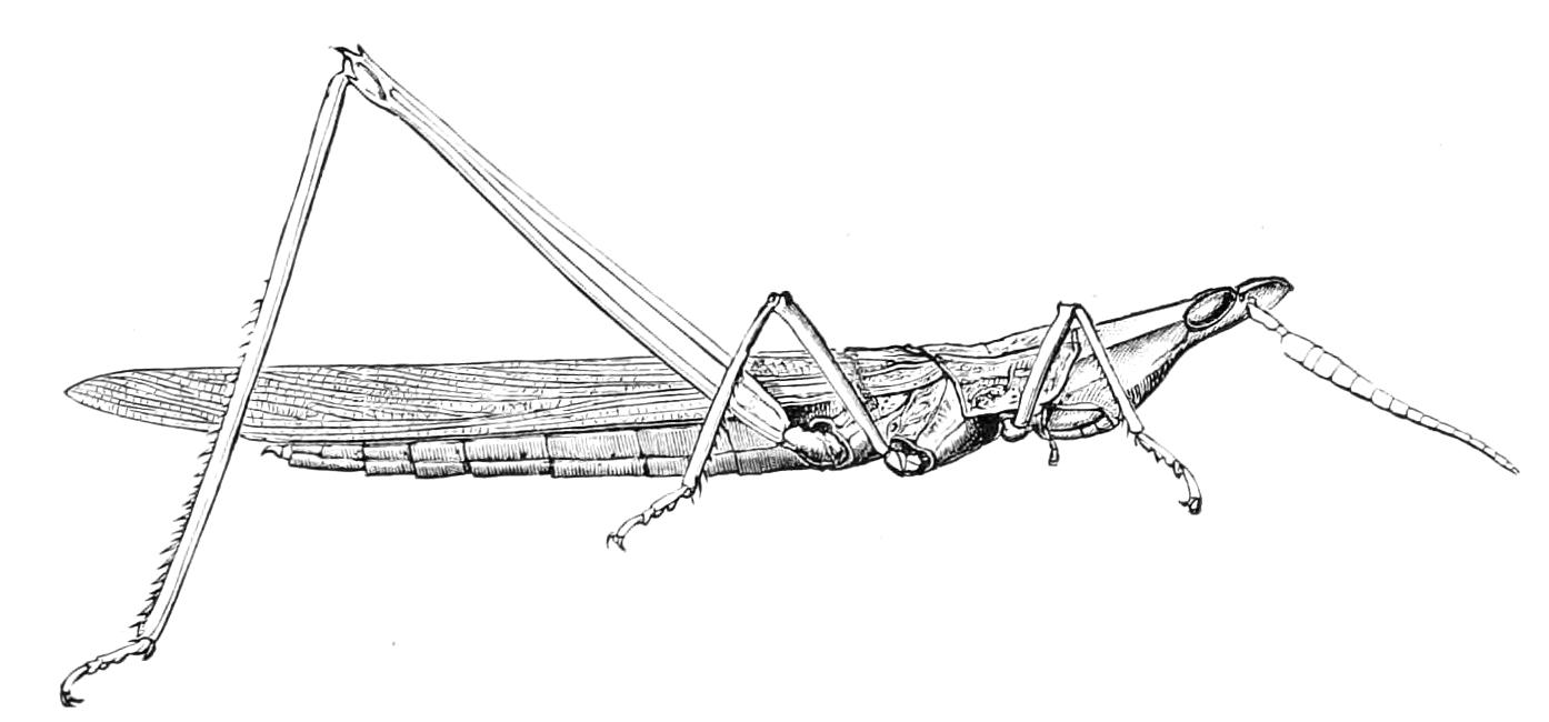 fig165