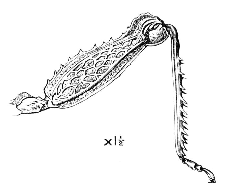 fig168