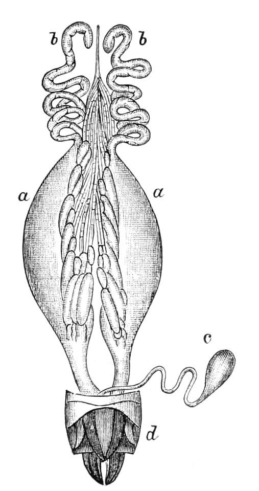 fig169