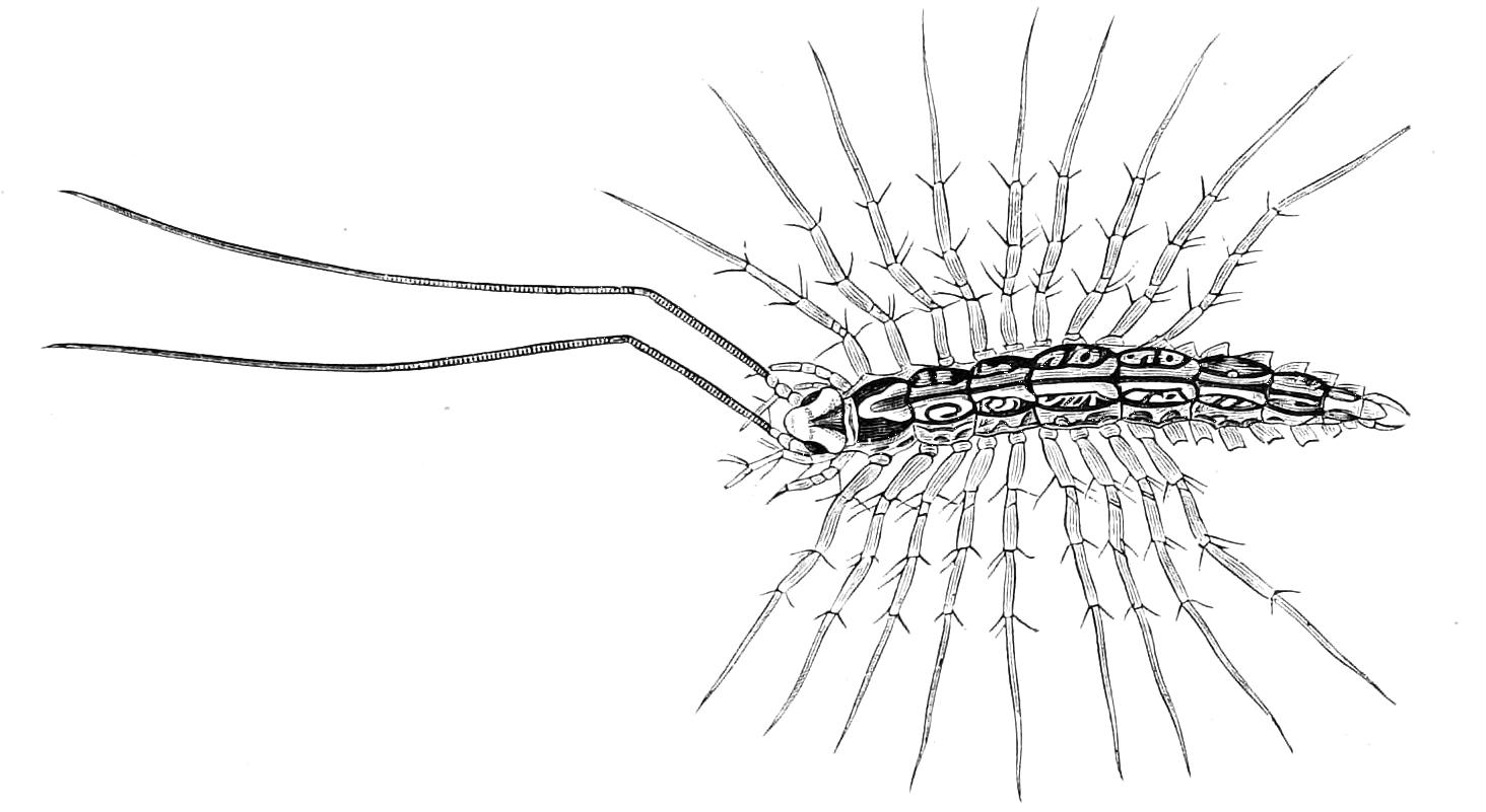 fig17